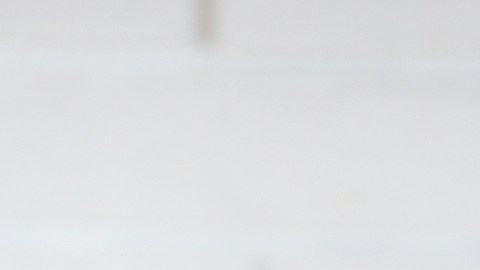 Algunos signos tienen la fama de ser irresponsables, según la astrología.