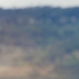 La posesividad surge de emociones intensas, una característica asociada con algunos signos.