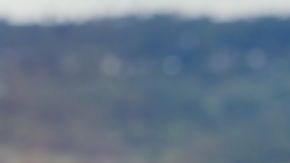 La posesividad surge de emociones intensas, una característica asociada con algunos signos.