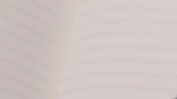 Mientras el dispositivo encienda y permita instalar aplicaciones, esa tablet vieja aún funciona y puedes darle usos maravillosos en casa.