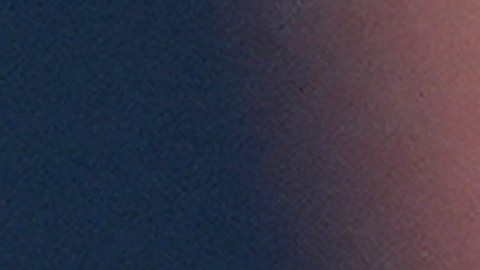 Expertos aseguran que casos aislados se convirtieron en una retórica generalizada por Trump.