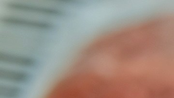 ¿Qué cambios se esperan en los precios de la carne de res tras la firma de Trump?