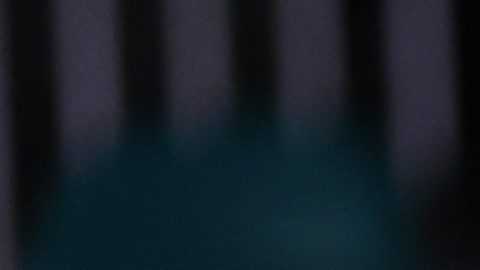 Jannik Sinner presume el trofeo conseguido en Miami.