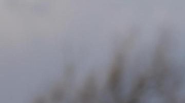 Issac del Toro arrancó este lunes la Vuelta al País Vasco.