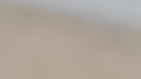 MARIETTA (United States), 27/03/2026.- US Men's National Team head coach Mauricio Pochettino (L) leads a training session with the team in Marietta, Georgia, USA, 27 March 2026. The USMNT will play Belgium in an international friendly soccer match in Atlanta, Georgia, 28 March 2026. (Futbol, Amistoso, Bélgica) EFE/EPA/ERIK S. LESSER