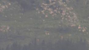 Irán "nunca pidió" un alto al fuego ni negociaciones, dice su ministro de Exteriores