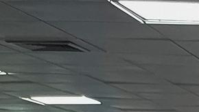 Confirman más liberaciones de presos políticos en Venezuela