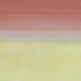 Real Madrid's new Brazilian coach Vanderlei Luxemburgo, center, directs a training session Thursday, Jan. 6 2005, at the team's Las Rozas training camp outside Madrid, Spain. On Wednesday Real Madrid played the final seven minutes of a league match against real Sociedad that was abandoned Dec. 12 because of a bomb scare when it was tied 1-1 and clinched the three points after French player Zinedine Zidane scored a penalty. (AP Photo/Armando Franca) ** EFE OUT **