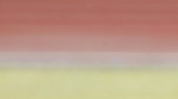 Real Madrid's new Brazilian coach Vanderlei Luxemburgo, center, directs a training session Thursday, Jan. 6 2005, at the team's Las Rozas training camp outside Madrid, Spain. On Wednesday Real Madrid played the final seven minutes of a league match against real Sociedad that was abandoned Dec. 12 because of a bomb scare when it was tied 1-1 and clinched the three points after French player Zinedine Zidane scored a penalty. (AP Photo/Armando Franca) ** EFE OUT **