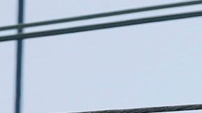 El precio del servicio eléctrico varía en cada estado de EE.UU.