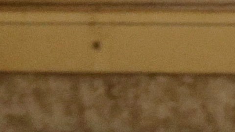 México busca eliminar aranceles al acero, aluminio y vehículos en revisión del T-MEC