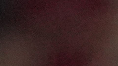 Marcelo ganó cinco Champions con el Real Madrid.