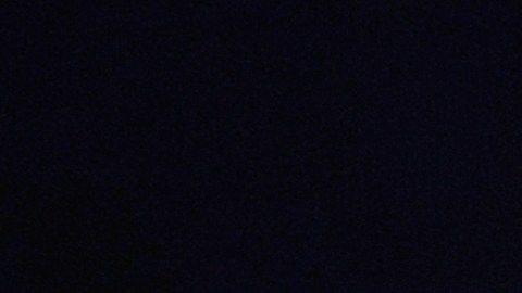 Tyson Fury regresa a los ensogados este año