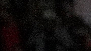 Canelo Álvarez no ha aceptado una pelea frente a David Benavídez