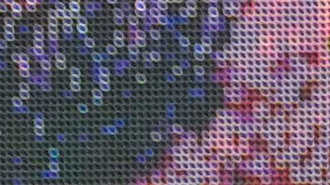 Jai Opetaia está envuelto en una polémica por su cinturón FIB