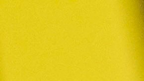 Carlos Adames se mantiene en la cima de su categoría