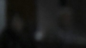 El Coyote, mascota de los Spurs de San Antonio, saluda a jóvenes fans del equipo. Esta semana, una aficionada mayor se dio a notar en el mismo recinto debido a un lamentable mensaje en su celular.