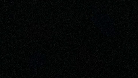 Tyson piensa que esta segunda pelea podría ser un buen espectáculo