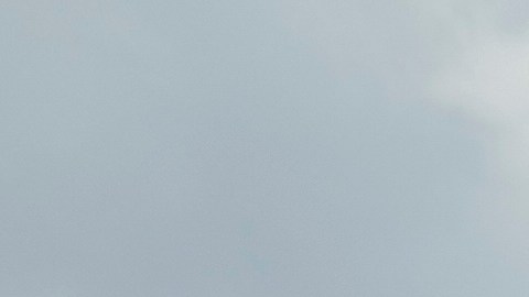 Spectators attend the Club World Cup Group H soccer match between Real Madrid and CF Pachuca in Charlotte, N.C., Sunday, June 22, 2025. (AP Photo/Chris Carlson)