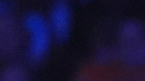 Dallas Wings guard Arike Ogunbowale dribbles during the second half of a WNBA basketball game against the New York Liberty in Arlington, Texas, Monday, July 28, 2025. (AP Photo/LM Otero)