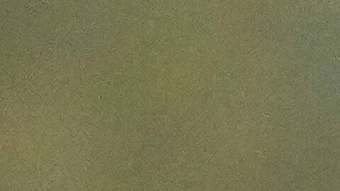 President Donald Trump, left, and WWE CCO Triple H listen during an event to sign an executive order restarting the Presidential Fitness Test in public schools, Thursday, July 31, 2025, in the Roosevelt Room of the White House in Washington. (AP Photo/Jacquelyn Martin)