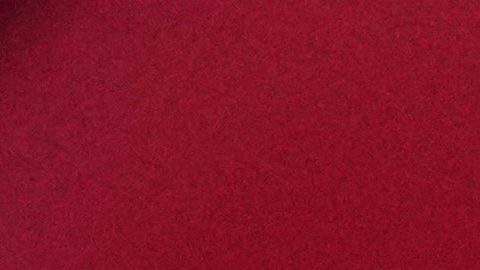 Almeyda terminó con un balance negativo en el Sevilla.