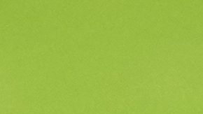 Ancelotti buscará levantar con Brasil su primera Copa del Mundo.