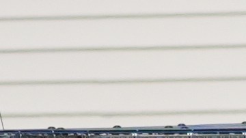 El ataque ocurrió en las inmediaciones del parque Tobey Prinz Beach, junto al lago Michigan, en la ciudad de Chicago.