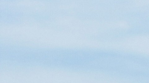 No se han dado a conocer detalles sobre el presunto tirador ni sobre cómo se desarrolló el incidente.