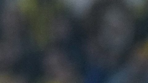 Edson Álvarez regresaría a la actividad con su club en abril.