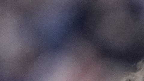 Pulisic es una de las piezas más destacadas del Milan.