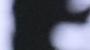 Venus Williams cayó en su debut en un torneo por octava ocasión consecutiva.