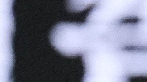 Venus Williams cayó en su debut en un torneo por octava ocasión consecutiva.