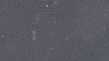 Gianluca Prestianni podría recibir una fuerte sanción.