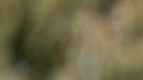 Carlos Ortiz posa durante un torneo de LIV Golf.