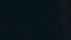 Los Angeles Dodgers' Miguel Rojas (72) high fives his teammates after scoring during spring training baseball game against the Cleveland Guardians, Tuesday, Feb. 24, 2026, in Phoenix. (AP Photo/Brynn Anderson)