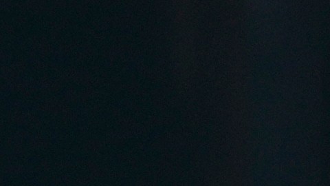 Los Angeles Dodgers' Miguel Rojas (72) high fives his teammates after scoring during spring training baseball game against the Cleveland Guardians, Tuesday, Feb. 24, 2026, in Phoenix. (AP Photo/Brynn Anderson)