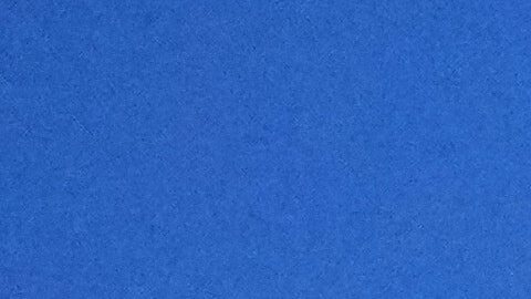 La Corte Suprema de Estados Unidos decidió por unanimidad mantener un fallo inferior que exige pruebas sustanciales para respaldar solicitudes de asilo.