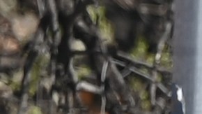 Un hombre identificado como Ndiaga Diagne fue abatido por la policía tras matar a dos personas y herir a otras 14 en un tiroteo ocurrido en un bar de Austin, Texas.