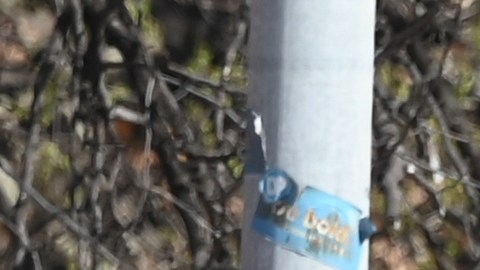 Un hombre identificado como Ndiaga Diagne fue abatido por la policía tras matar a dos personas y herir a otras 14 en un tiroteo ocurrido en un bar de Austin, Texas.