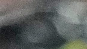 Pedro neto también se vio involucrado en un incidente con un recogepelotas en el último duelo del Chelsea por la Champions.