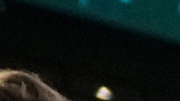 Members of team Italy celebrate a victory over Puerto Rico in a World Baseball Classic quarterfinal game, Saturday, March 14, 2026, in Houston. (AP Photo/Karen Warren)