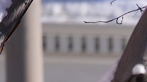 Entre el sábado y la mañana del lunes, más de 5,000 vuelos fueron cancelados, incluidos 3,000 el domingo