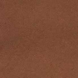 Venezuela celebra el triunfo sobre Italia en la semifinal del torneo.