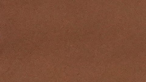 Venezuela celebra el triunfo sobre Italia en la semifinal del torneo.