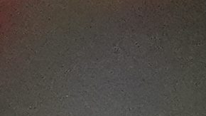 Venezuela jugará la primera final de su historia.