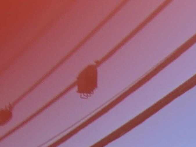 los agentes confrontaron al sospechoso fuera de la clínica, donde abrieron fuego y lo abatieron.