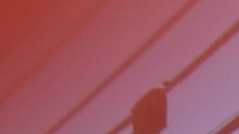 los agentes confrontaron al sospechoso fuera de la clínica, donde abrieron fuego y lo abatieron.