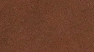 Wilyer Abreu festeja luego de conectar jonrón en la quinta entrada para la segunda carrera de Venezuela en contra de Estados Unidos en la final del Clásico Mundial de Béisbol.