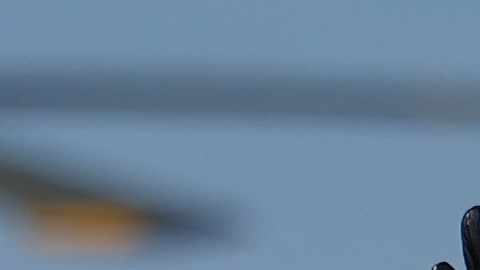 Trump dice que "Irán quiere un acuerdo" y que podría llegar en próximos cinco días